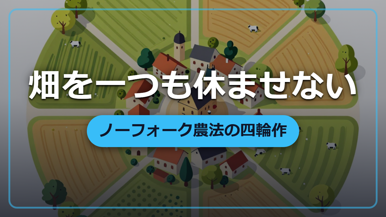 【異世界転生】畑を一つも休ませない究極の農業「ノーフォーク農法」四輪作のしくみ
