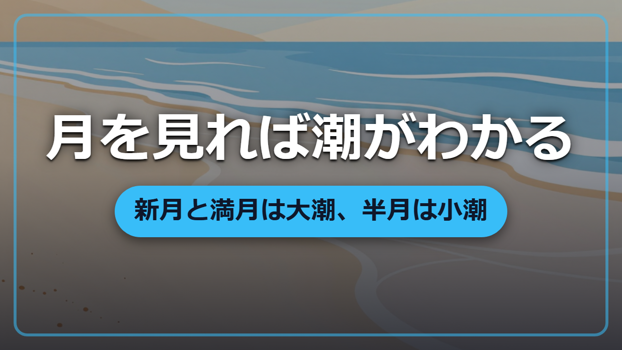 【異世界で漁をするなら】月を見れば、船を出す時刻も貝をひろう時刻もわかる