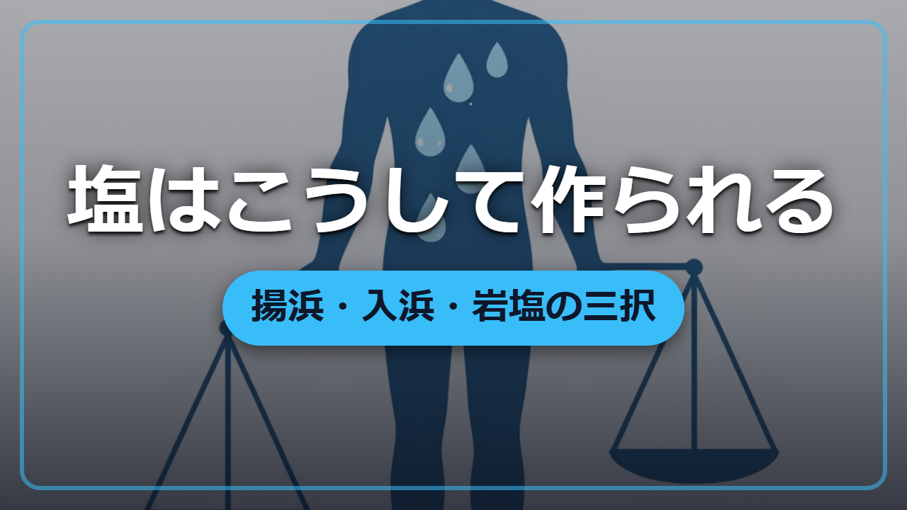 塩はどこから来るのか―揚浜・入浜・岩塩、異世界の製塩を制する者
