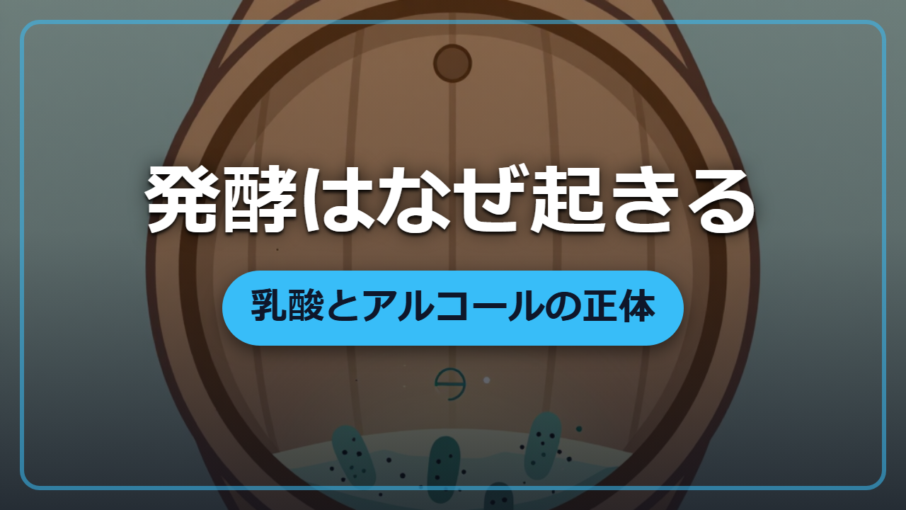 【異世界転生】なぜ酒は生まれ、パンは膨らむのか―発酵の正体と乳酸・アルコール