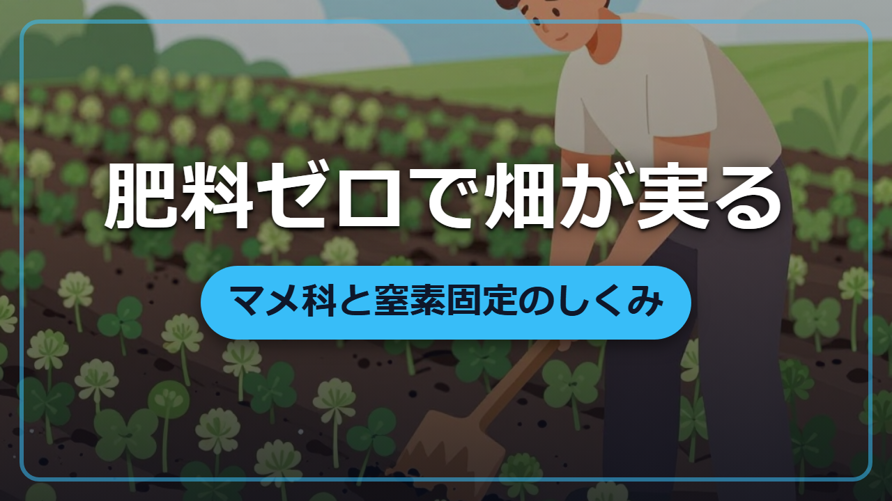 【異世界転生】肥料ゼロで畑が実る「マメ科と窒素固定」のしくみ