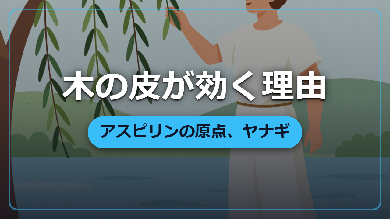 痛みも熱も、木の皮ひとつで ―― 異世界の万能薬「ヤナギ」の秘密