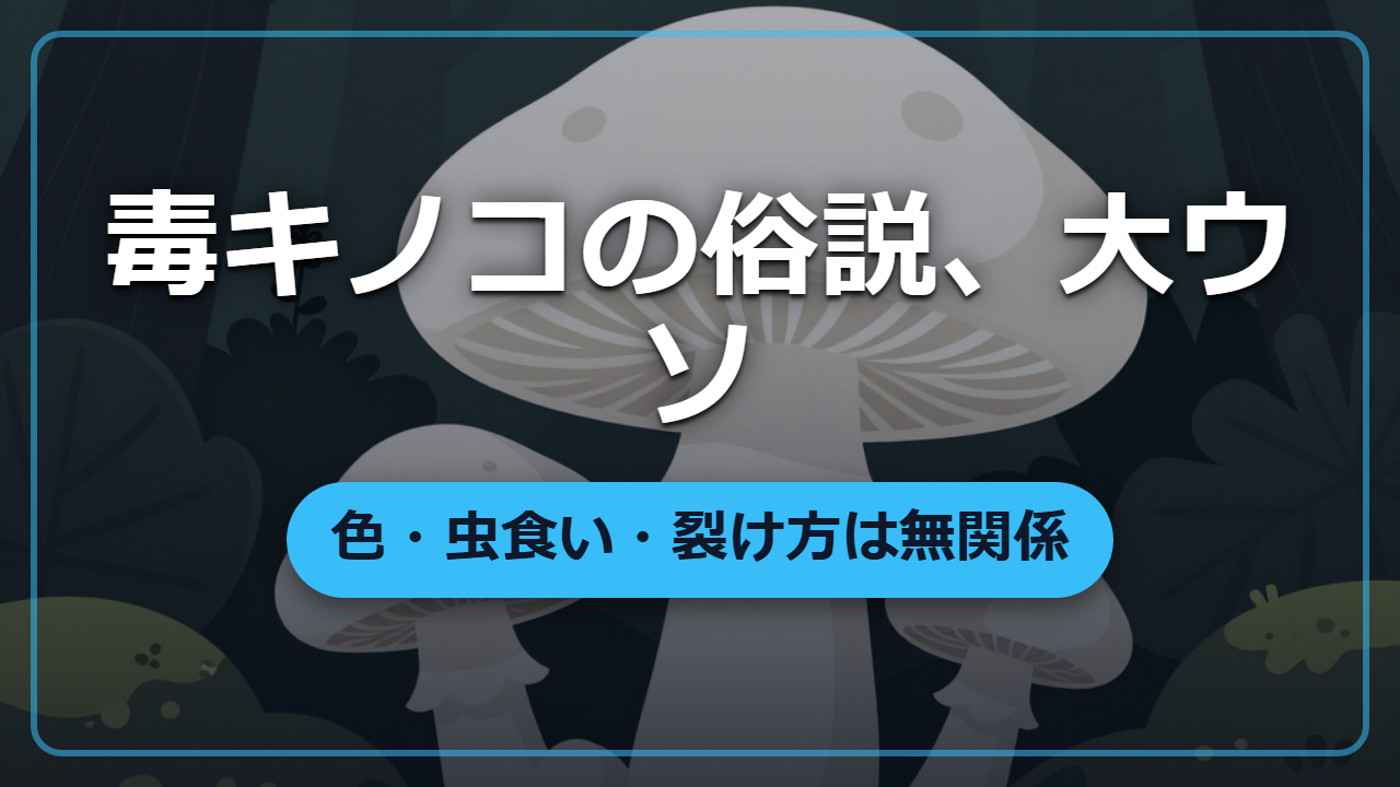 「地味な色は安全」は大ウソ？毒キノコの俗説、全部間違ってます