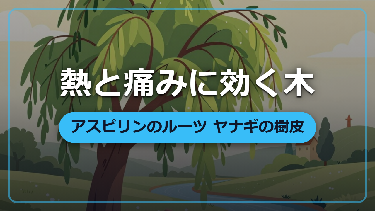【異世界転生】薬のない世界で熱と痛みを消す「ヤナギの樹皮」